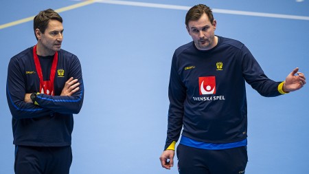 EM-kvalmatchen mot Montenegro skjuts upp