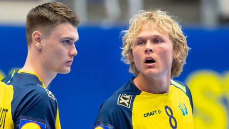 Ligalandslaget matchar dubbelt i Polen