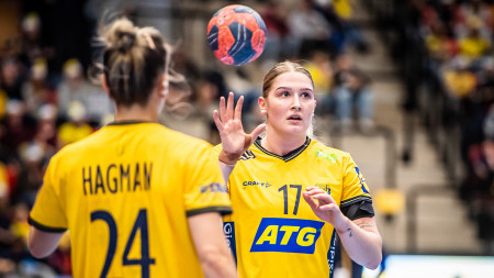Sveriges trupp till höstens EM-kval